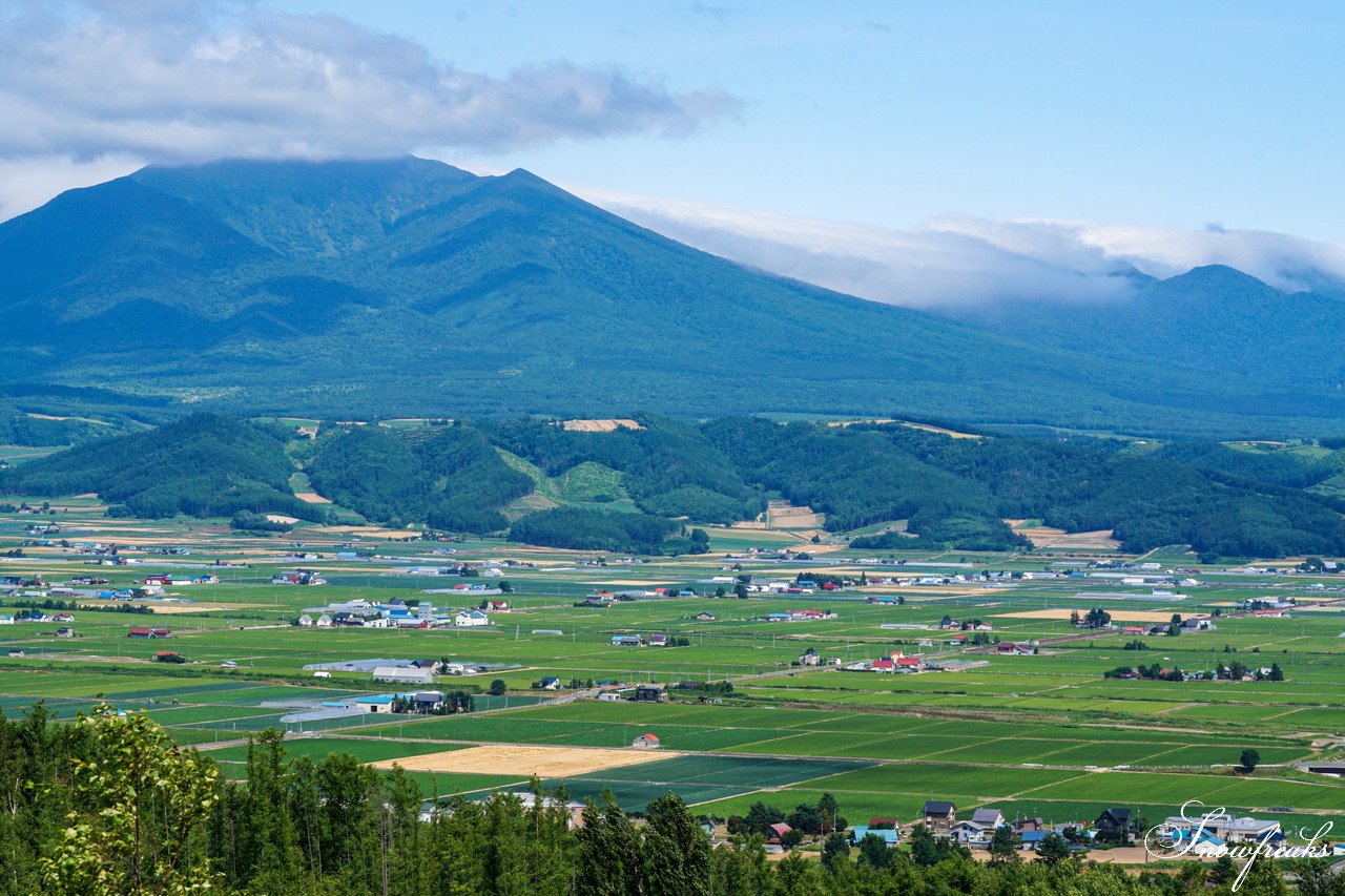 夏の北海道観光の定番・中富良野町の『ラベンダー畑』をカメラ散歩♪